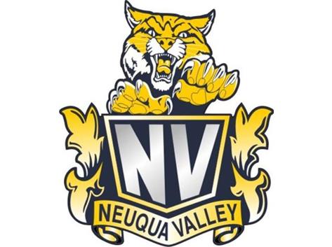 neuqua valley