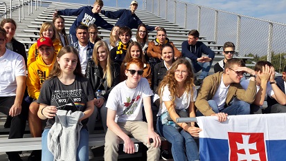 nvhs small