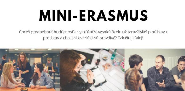 minierasmus